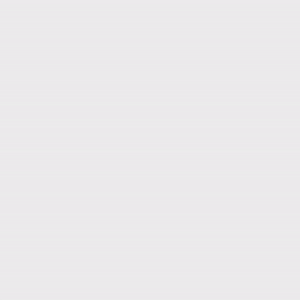 Datatrans Payment Page
